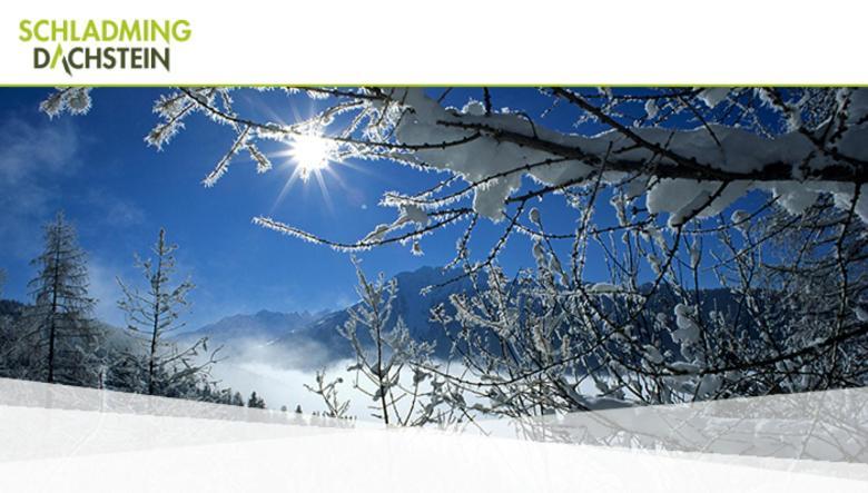 Hotel Vitaler Landauerhof Schladming Kültér fotó
