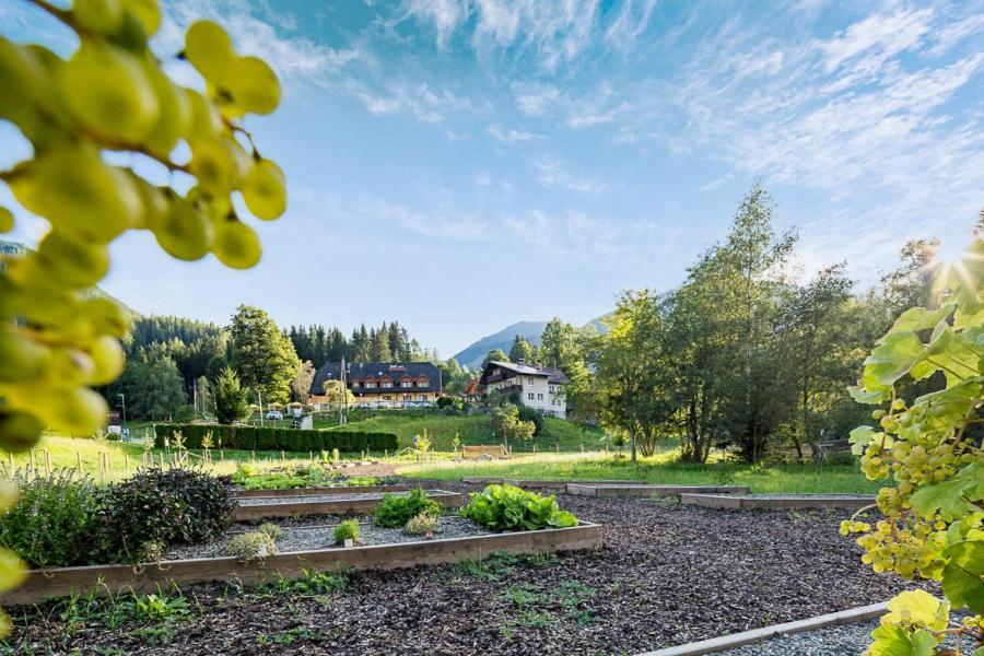 Hotel Vitaler Landauerhof Schladming Kültér fotó